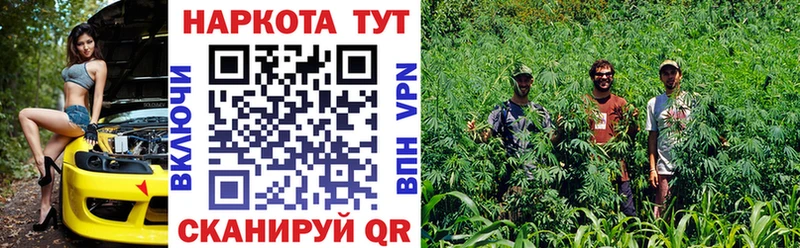 Купить КОКАИН  АМФ  APVP  Канабис  МЕФ  Черногорск