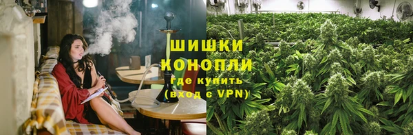 ALPHA PVP Горнозаводск